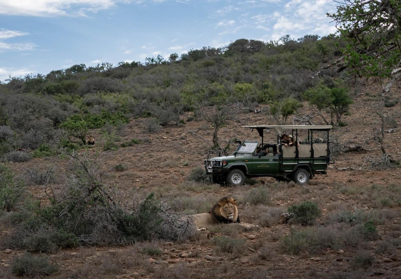Kuzuko Lodge Addo Exterior photo